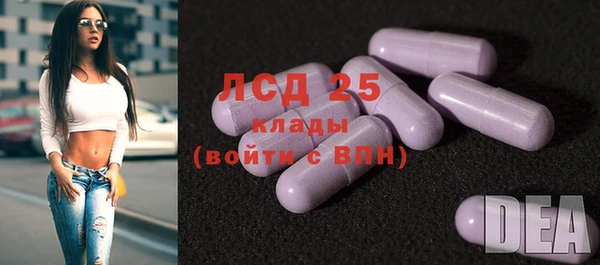 Альфа ПВП Новозыбков