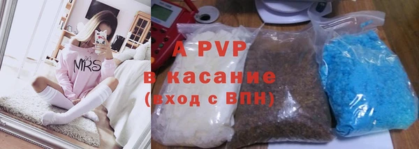 Альфа ПВП Новозыбков