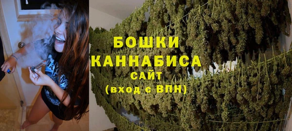 сатива Абаза