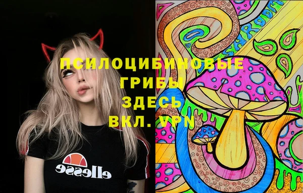 мяу мяу мука Абдулино