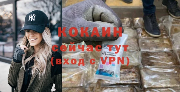 сатива Абаза
