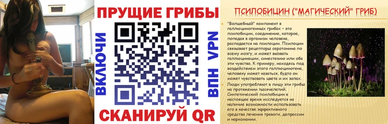 Галлюциногенные грибы MAGIC MUSHROOMS Нерчинск